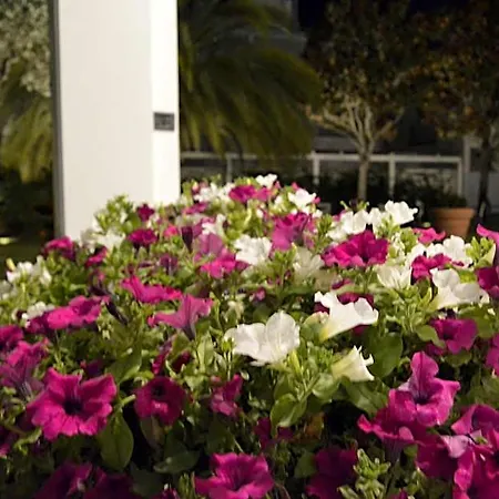 Hotel Fortunella 3*